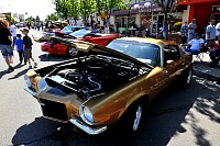 DSC_5002.jpg