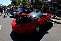 DSC_5005.jpg