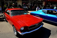 DSC_5010.jpg