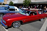 DSC_5095.jpg