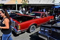 DSC_5113.jpg