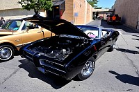 DSC_5138.jpg