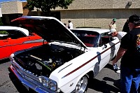 DSC_5140.jpg