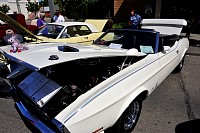 DSC_5145.jpg