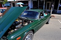 DSC_5202.jpg