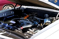 DSC_5214.jpg