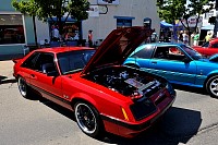 DSC_5246.jpg