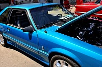 DSC_5251.jpg