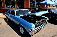 DSC_5331.jpg