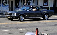 DSC_0142.JPG