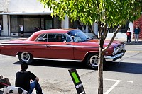 DSC_0201.jpg