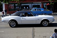 DSC_0236.jpg