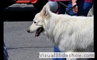 tn_DSC_0857_jpg