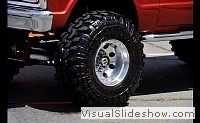 tn_DSC_0871_jpg
