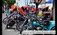 tn_DSC_0873_jpg