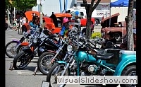 tn_DSC_0874_jpg
