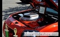 tn_DSC_0891_jpg