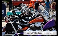 tn_DSC_0893_jpg