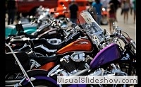 tn_DSC_0894_jpg