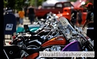 tn_DSC_0896_jpg