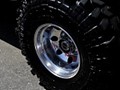 tn_DSC_0443_jpg