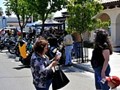 tn_DSC_0447_jpg