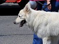 tn_DSC_0857_jpg