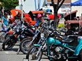 tn_DSC_0873_jpg