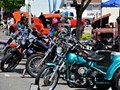 tn_DSC_0874_jpg