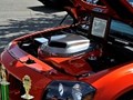 tn_DSC_0891_jpg