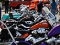 tn_DSC_0893_jpg