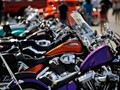 tn_DSC_0894_jpg