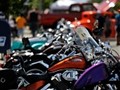 tn_DSC_0895_jpg