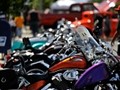 tn_DSC_0896_jpg