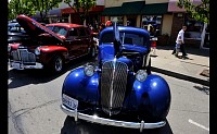 DSC_0367.jpg