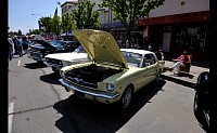 DSC_0373.jpg