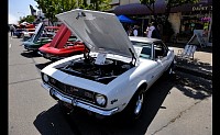 DSC_0379.jpg