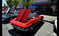 DSC_0381.jpg