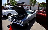 DSC_0413.jpg
