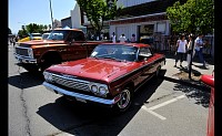DSC_0427.jpg