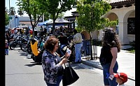 DSC_0447.jpg
