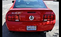 DSC_0466.jpg