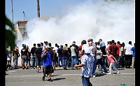DSC_0561.jpg