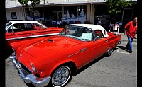 DSC_0687.jpg