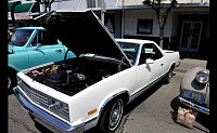 DSC_0695.jpg