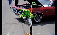 DSC_0733.jpg