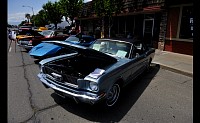 DSC_0746.jpg