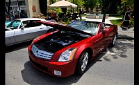 DSC_0780.jpg