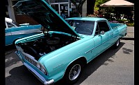 DSC_0784.jpg