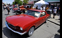 DSC_0806.jpg